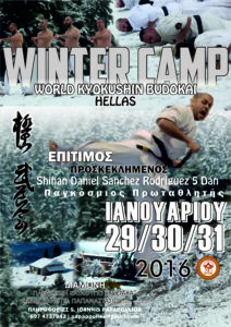αφισα 2016 winter TELIKO