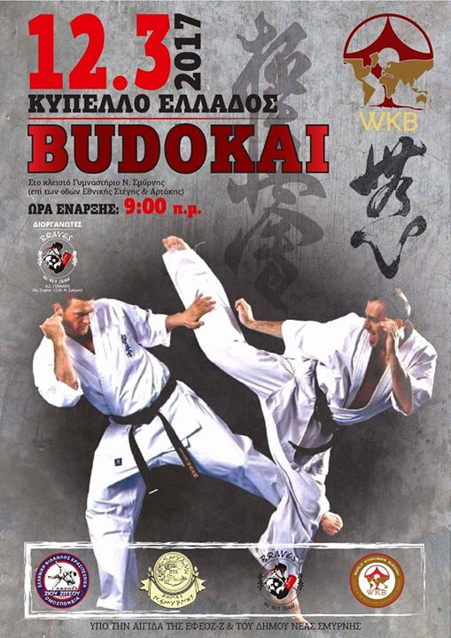 Κύπελλο Ελλάδος Budokai 2017