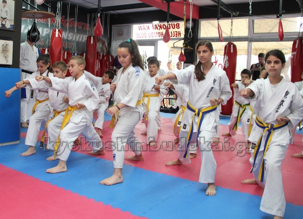 «BUDOKAI FIGHTERS PAPAPOULIOS» ΕΞΕΤΑΣΕΙΣ ΕΓΧΡΩΜΩΝ ΖΩΝΩΝ