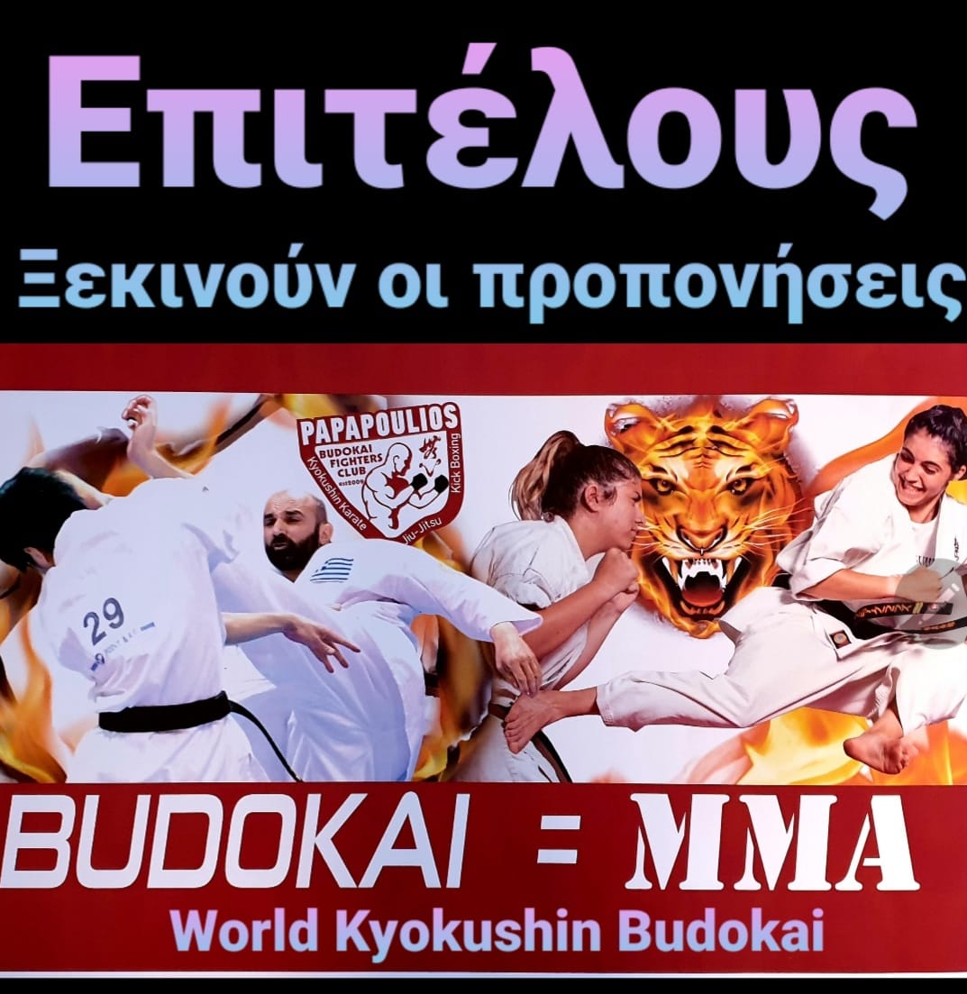 ΕΝΑΡΞΗ ΠΡΟΠΟΝΗΣΕΩΝ ΤΗΣ PAPAPOULIOS BUDOKAI FIGHTERS