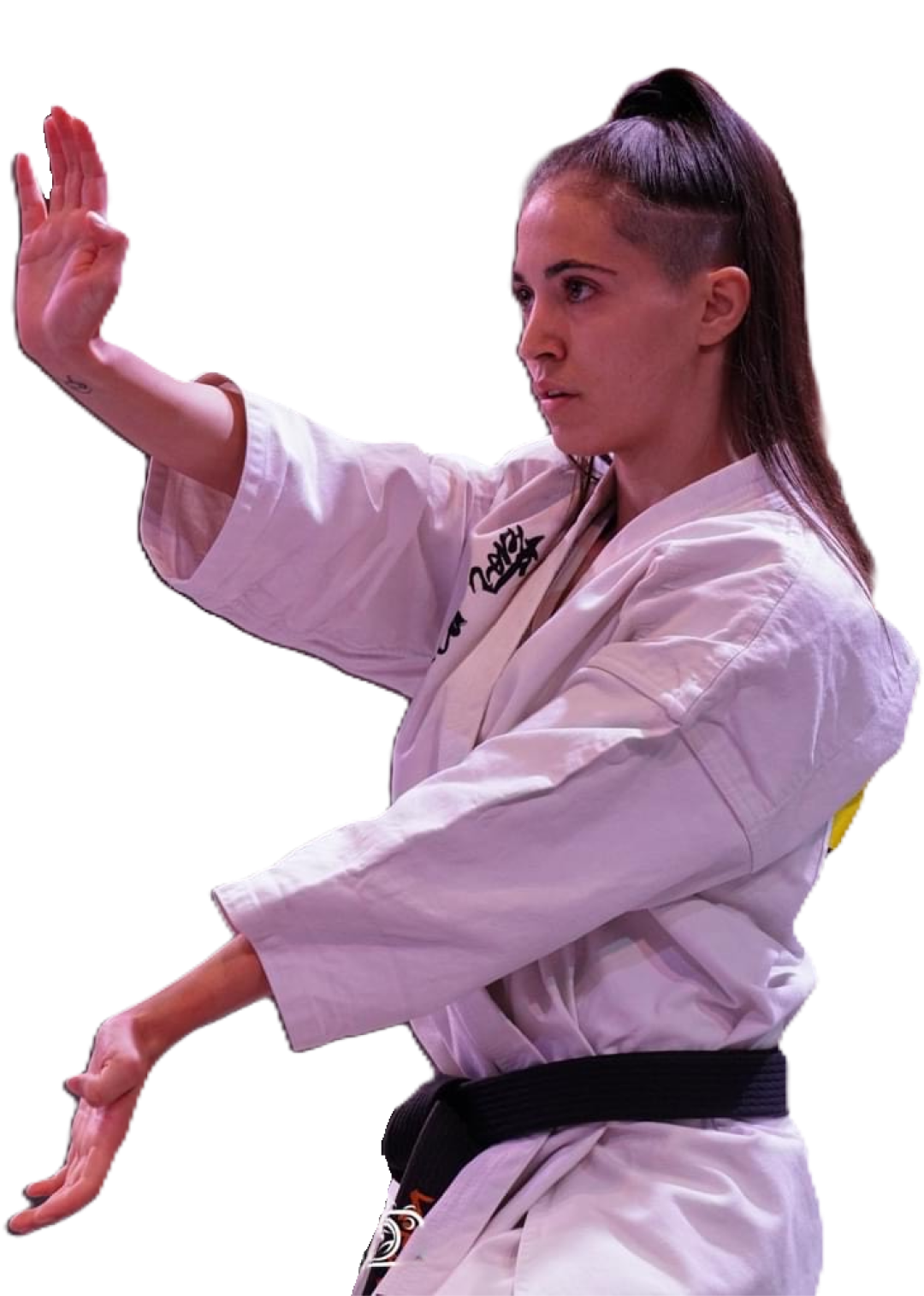 Papapoulios Budokai Kyokushin Karate Trikala