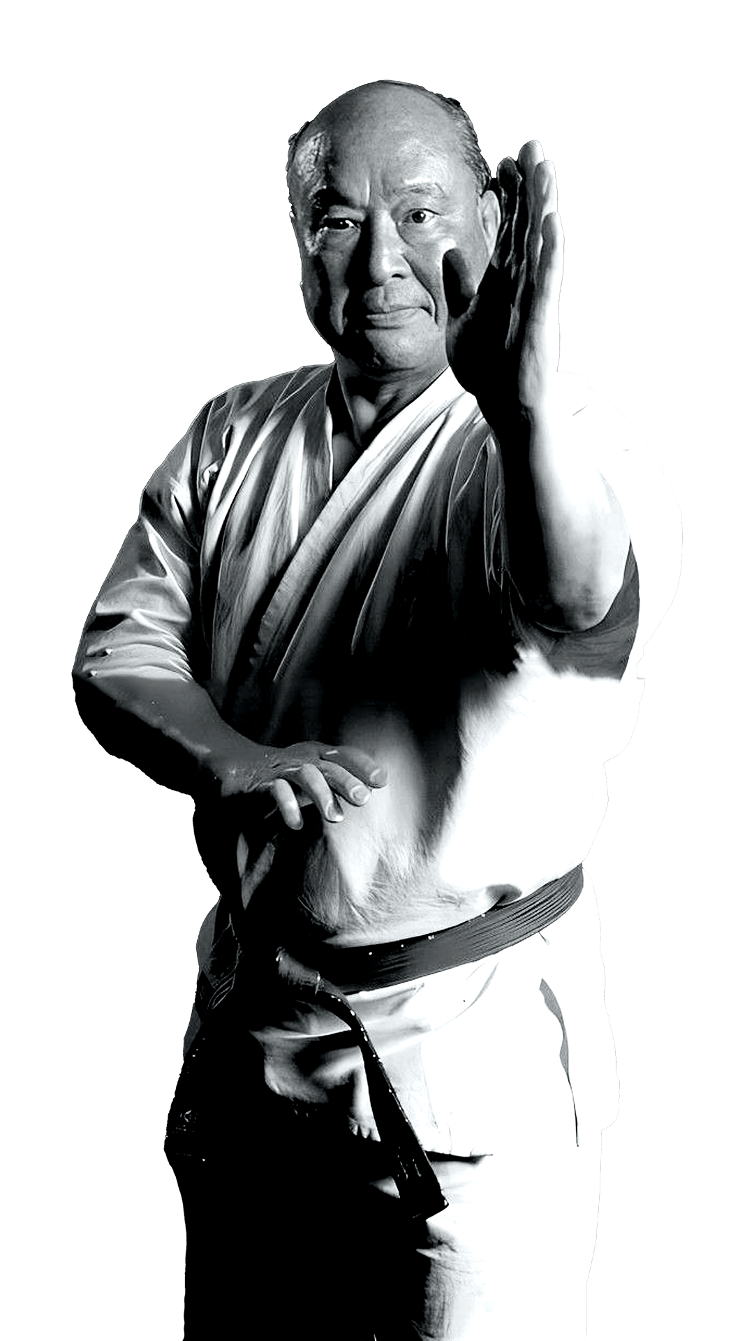 Papapoulios Budokai Kyokushin Karate Pyli Wkb Greece