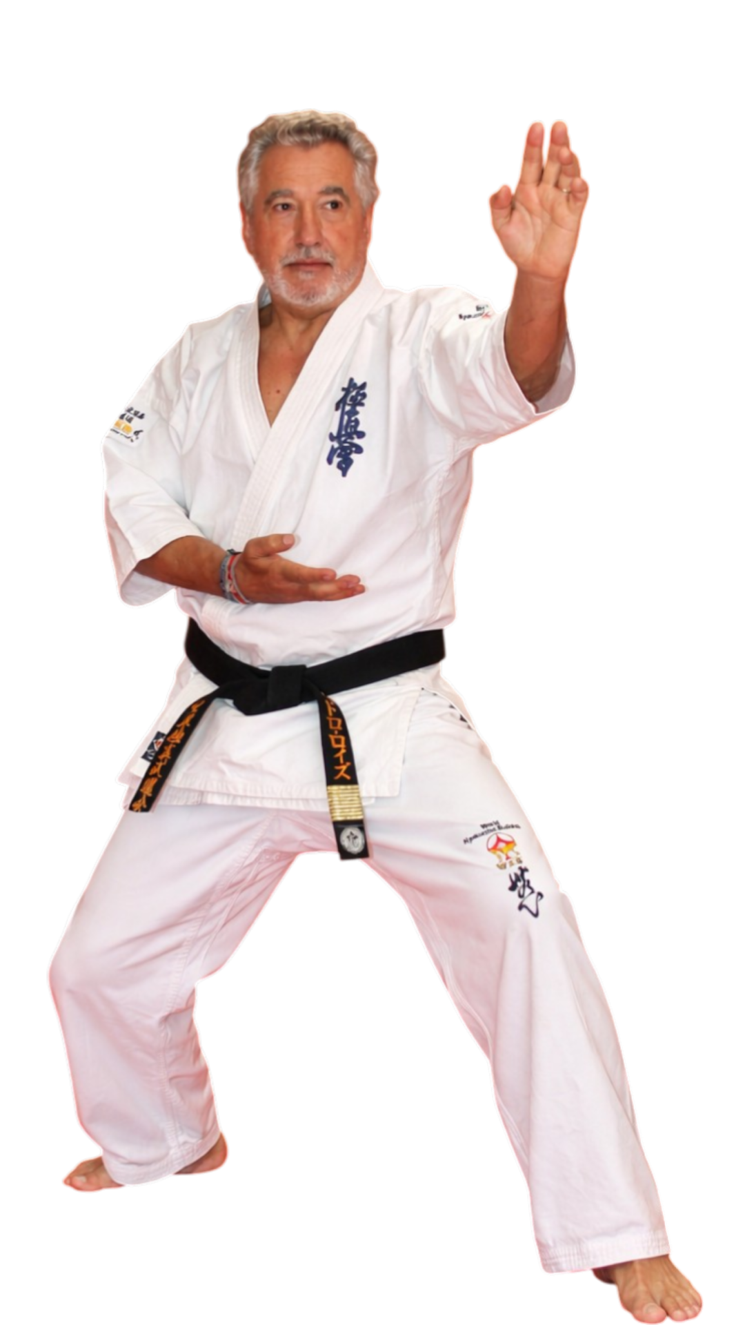 Papapoulios Budokai Kyokushin Karate Kalampaka