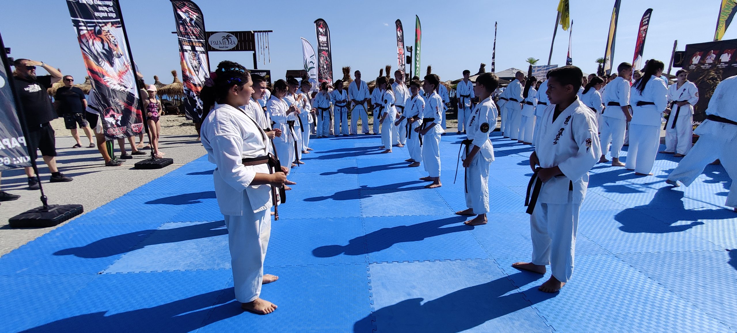 Απόλυτη επιτυχία για τα Dojo Καλαμπάκας, Τρικάλων, Πύλης και Παλαμά στις εξετάσεις 1ου και 2ου DAN WKB Greece