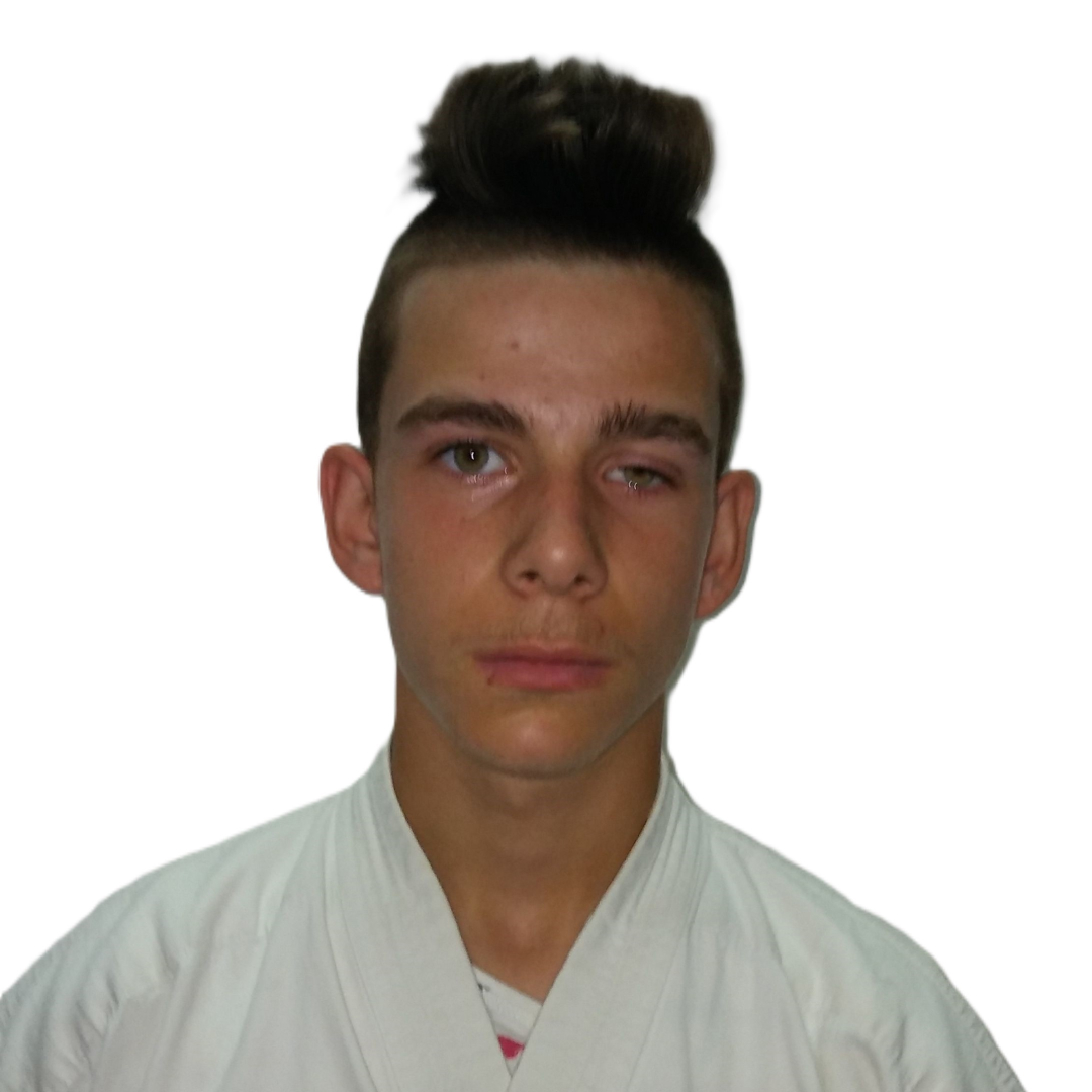 Papapoulios Budokai WKB Greece Ilias Avramis