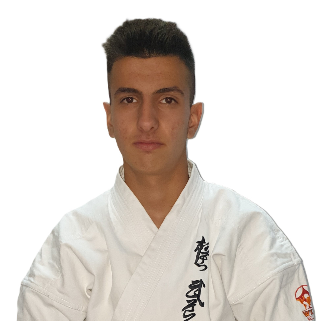 Papapoulios Budokai WKB Greece Ευάγγελος Μπαμπατσίας
